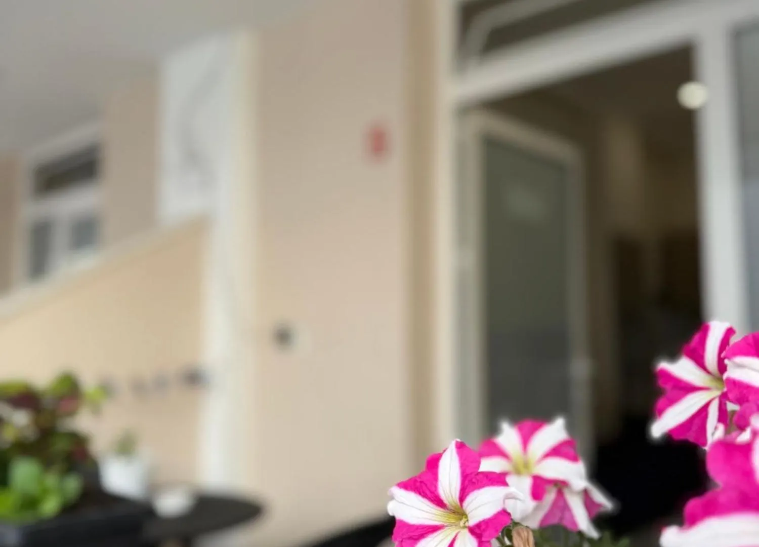 Troy Aparthotel דורס 0*,